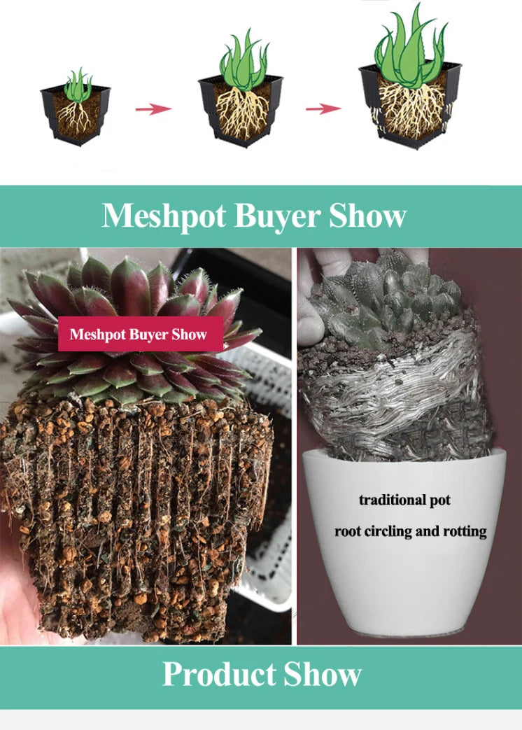 Meshpot 2 3 4 Inches Square Plastic Succulents Planter Pots With Tray Set,Nursery Pot Cactus Plant Pot Garden Pot