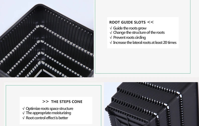 Meshpot Succulents Pot 10 Pack 20 Pack Plastic Flower Pot Cactus Planter Container Seedlings Nursery Supplies Inner Dia. 6cm/7cm