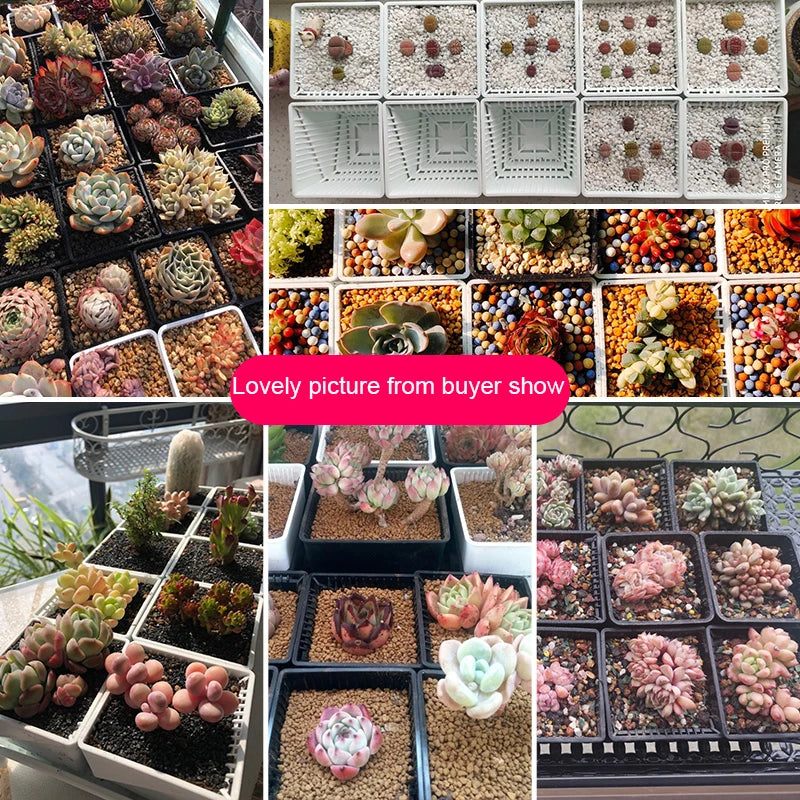 Meshpot 2 3 4 Inches Square Plastic Succulents Planter Pots With Tray Set,Nursery Pot Cactus Plant Pot Garden Pot