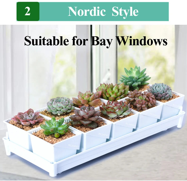 Meshpot 2 3 4 Inches Square Plastic Succulents Planter Pots With Tray Set,Nursery Pot Cactus Plant Pot Garden Pot