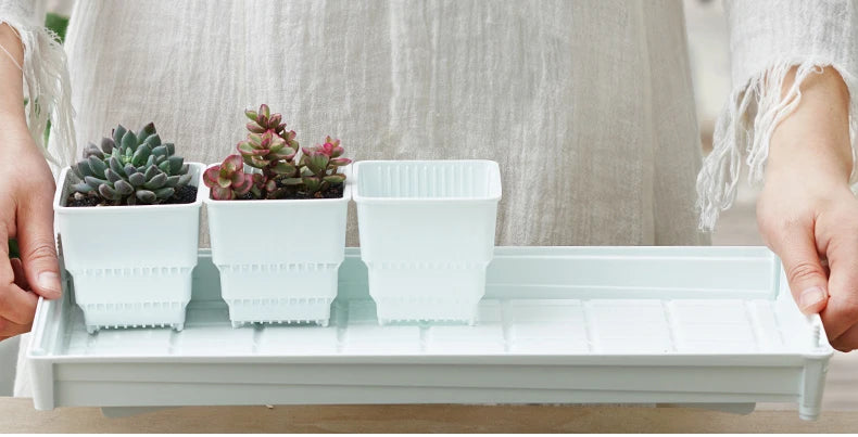 Meshpot 2 3 4 Inches Square Plastic Succulents Planter Pots With Tray Set,Nursery Pot Cactus Plant Pot Garden Pot