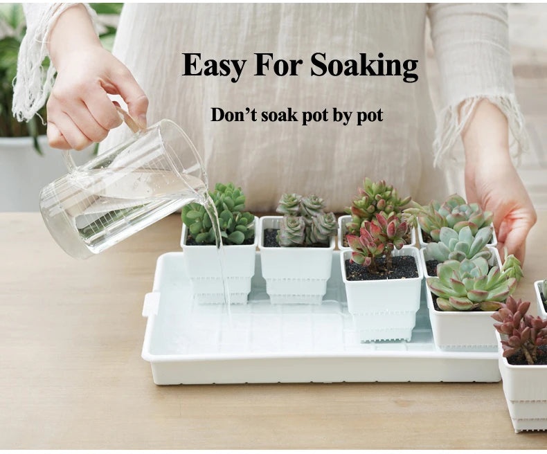 Meshpot 2 3 4 Inches Square Plastic Succulents Planter Pots With Tray Set,Nursery Pot Cactus Plant Pot Garden Pot