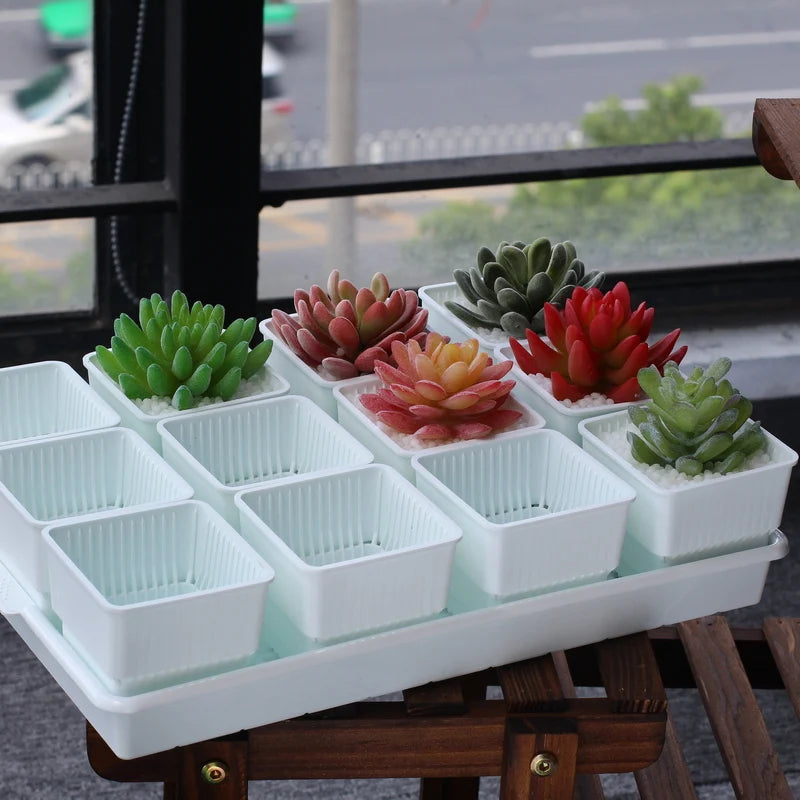 Meshpot 2 3 4 Inches Square Plastic Succulents Planter Pots With Tray Set,Nursery Pot Cactus Plant Pot Garden Pot