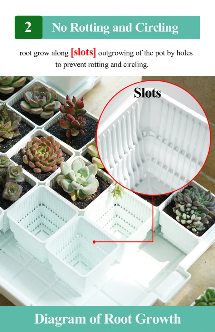 Meshpot Succulents Pot 10 Pack 20 Pack Plastic Flower Pot Cactus Planter Container Seedlings Nursery Supplies Inner Dia. 6cm/7cm