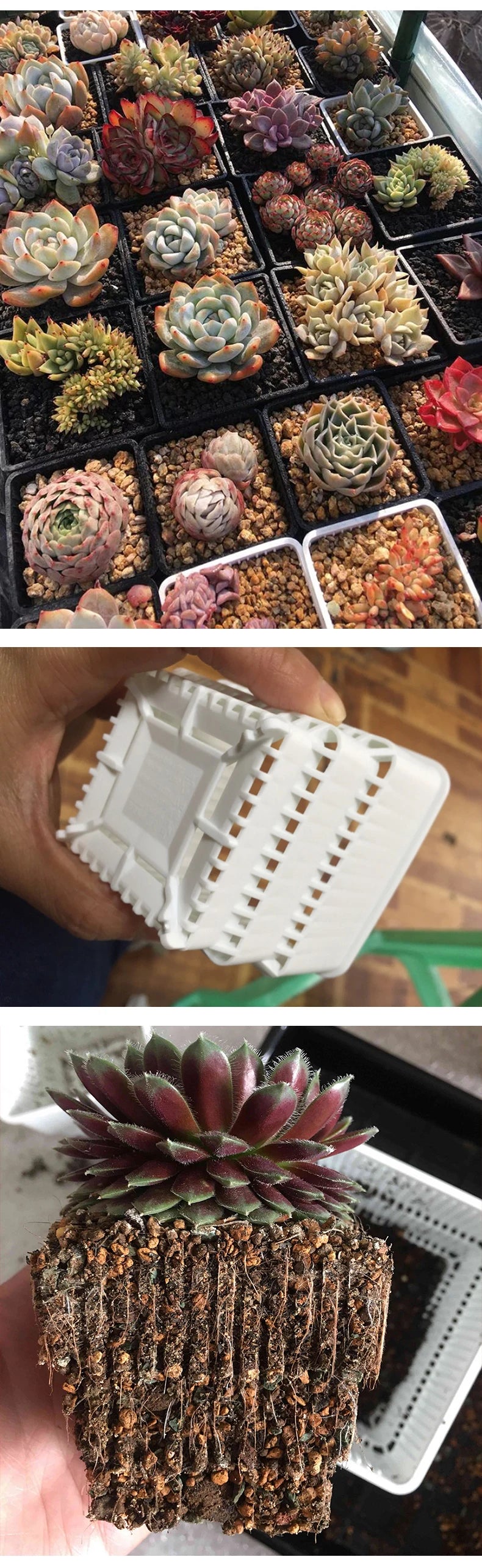 Meshpot Succulents Pot 10 Pack 20 Pack Plastic Flower Pot Cactus Planter Container Seedlings Nursery Supplies Inner Dia. 6cm/7cm