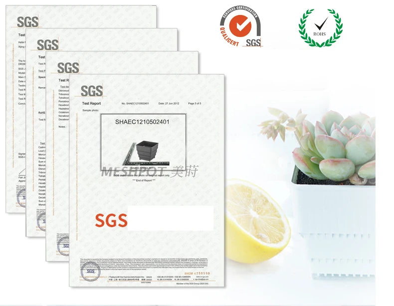 Meshpot Succulents Pot 10 Pack 20 Pack Plastic Flower Pot Cactus Planter Container Seedlings Nursery Supplies Inner Dia. 6cm/7cm