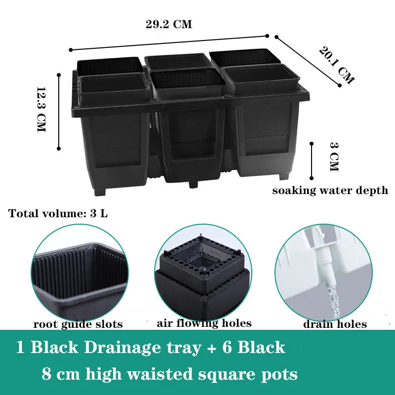 Meshpot 2 3 4 Inches Square Plastic Succulents Planter Pots With Tray Set,Nursery Pot Cactus Plant Pot Garden Pot